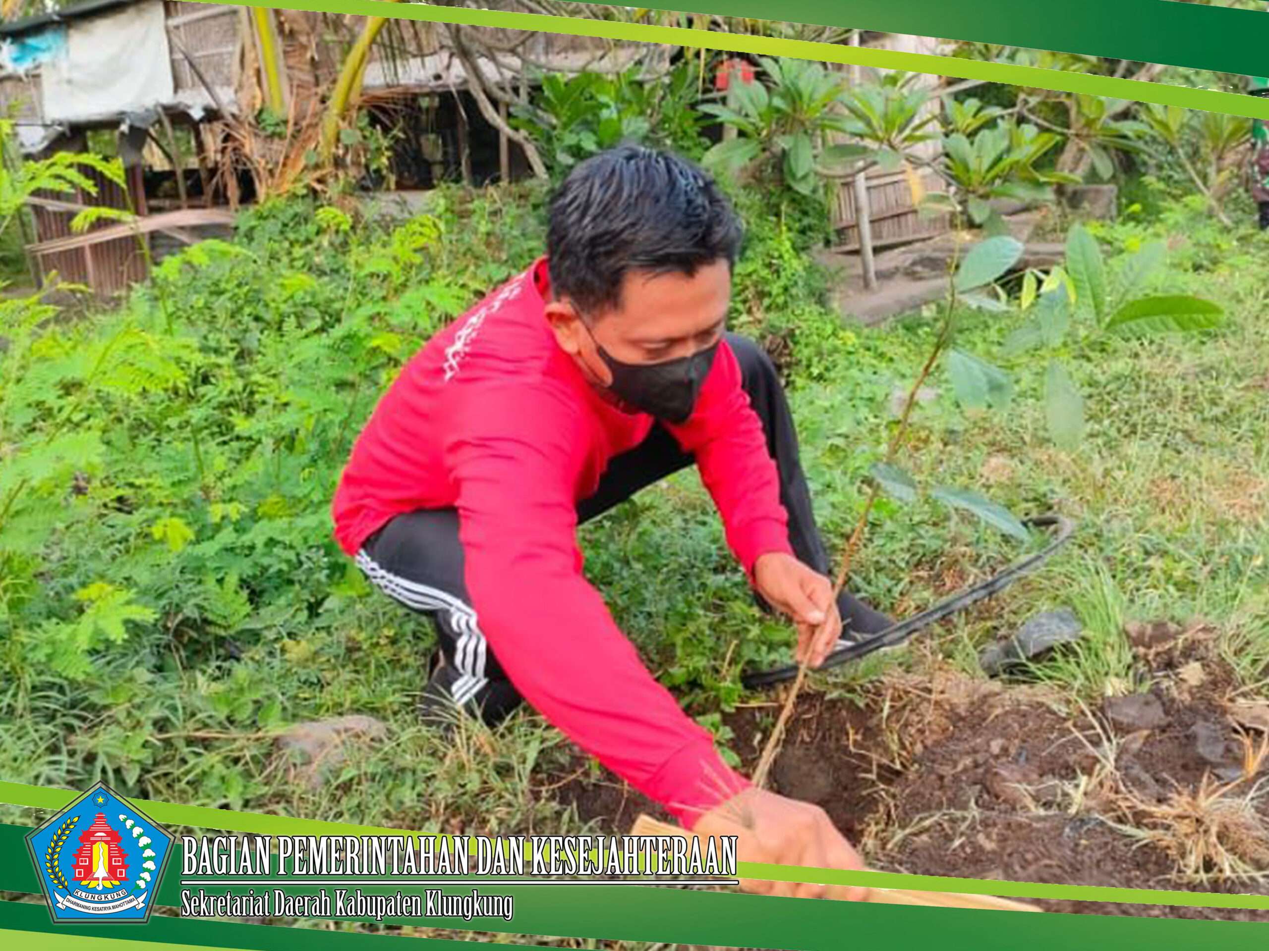 Bersih-Bersih Sampah Plastik dan Penanaman Pohon serangkaian Rahinan Tumpek Wayang